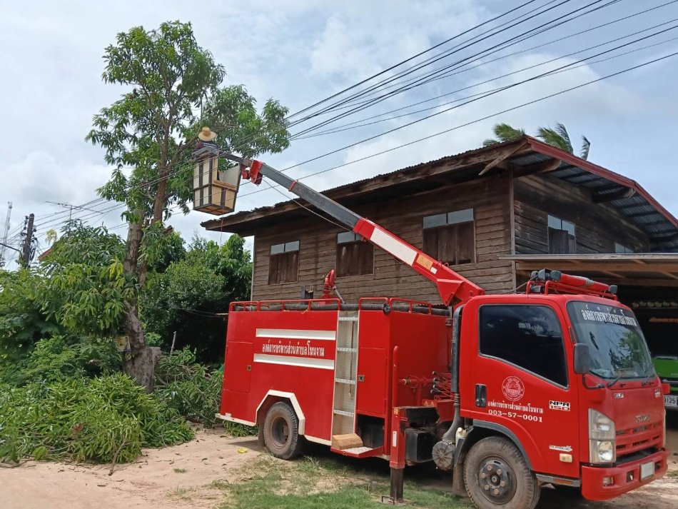 องค์การบริหารส่วนตำบลโนนงาม ออกให้บริการประชาชนในการตัดแต่งกิ่งไม้ที่ติดกับสายไฟฟ้า ที่อาจเกิดอันตรายแก่ประชาชน ณ บ้านม่วงโป้ หมู่ที่ ๑ ตำบลโนนงาม